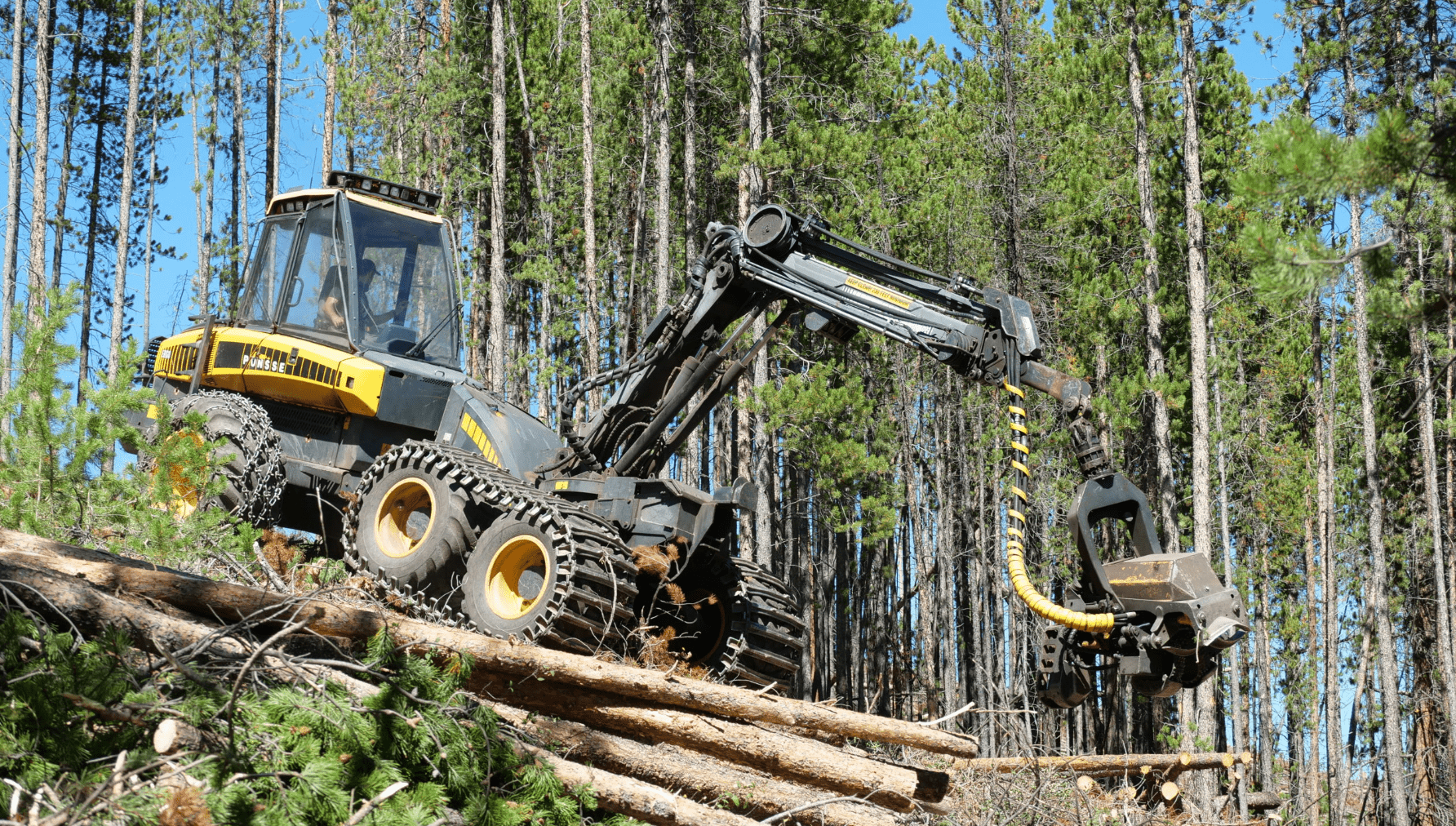 The <a style="color: #F2A41E;" href="https://www.denverwater.org/tap/building-better-forest?size=n_21_n" target="_blank">From Forests to Faucets program</a> improves forest health and protects watersheds. A partnership between Denver Water, the Rocky Mountain Region of the U.S. Forest Service, Colorado State Forest Service, and the Natural Resources Conservation Service, this program carries out forest management projects such as planting trees and thinning overly dense forests to reduce the risk of catastrophic wildfire with the goal of protecting watersheds and water supplies for communities across Colorado. As of July 2022, the program has treated 120,000 acres of forests in areas where Denver Water collects water and planted 1.4 million trees in areas affected by wildfires.