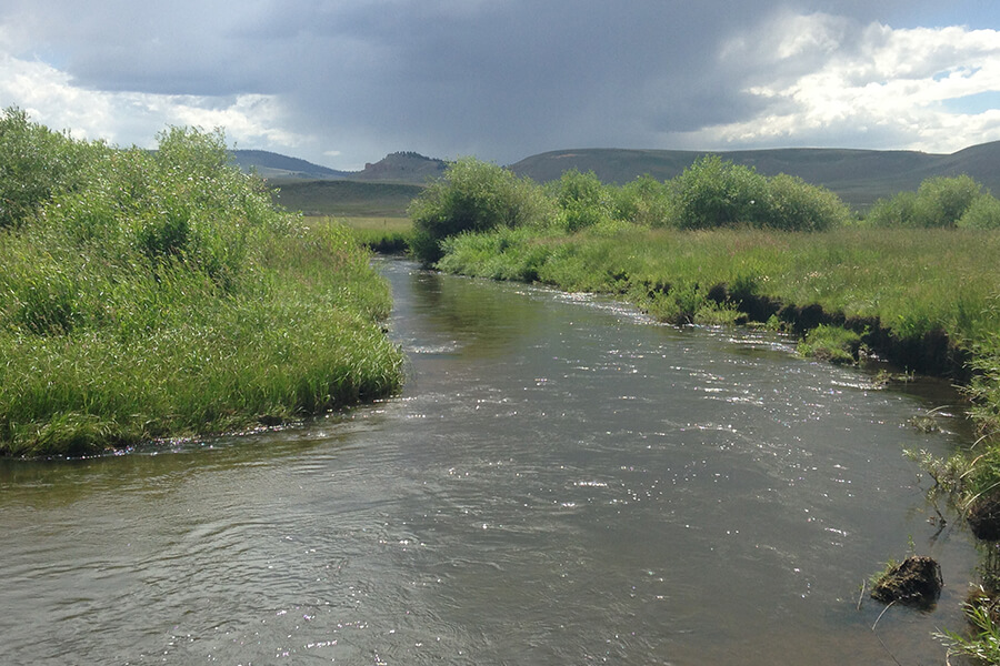 As part of the Tomichi Water Conservation Program, Trout Unlimited compensated six irrigators to cease diversions in 2018, which was one of the driest years on record for Tomichi Creek, located near Gunnison, Colorado. The project monitored stream flows and conserved water and found stream-flow improvements were effective in reducing fish mortality throughout the Tomichi State Wildlife Area when compared with similarly dry years. The project also yielded helpful findings around the impacts of timing on partial season curtailment of irrigation for haying and discrepancies between tools used for measuring water savings.