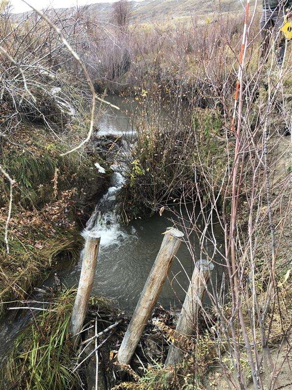 Fish habitat added to Sage Creek