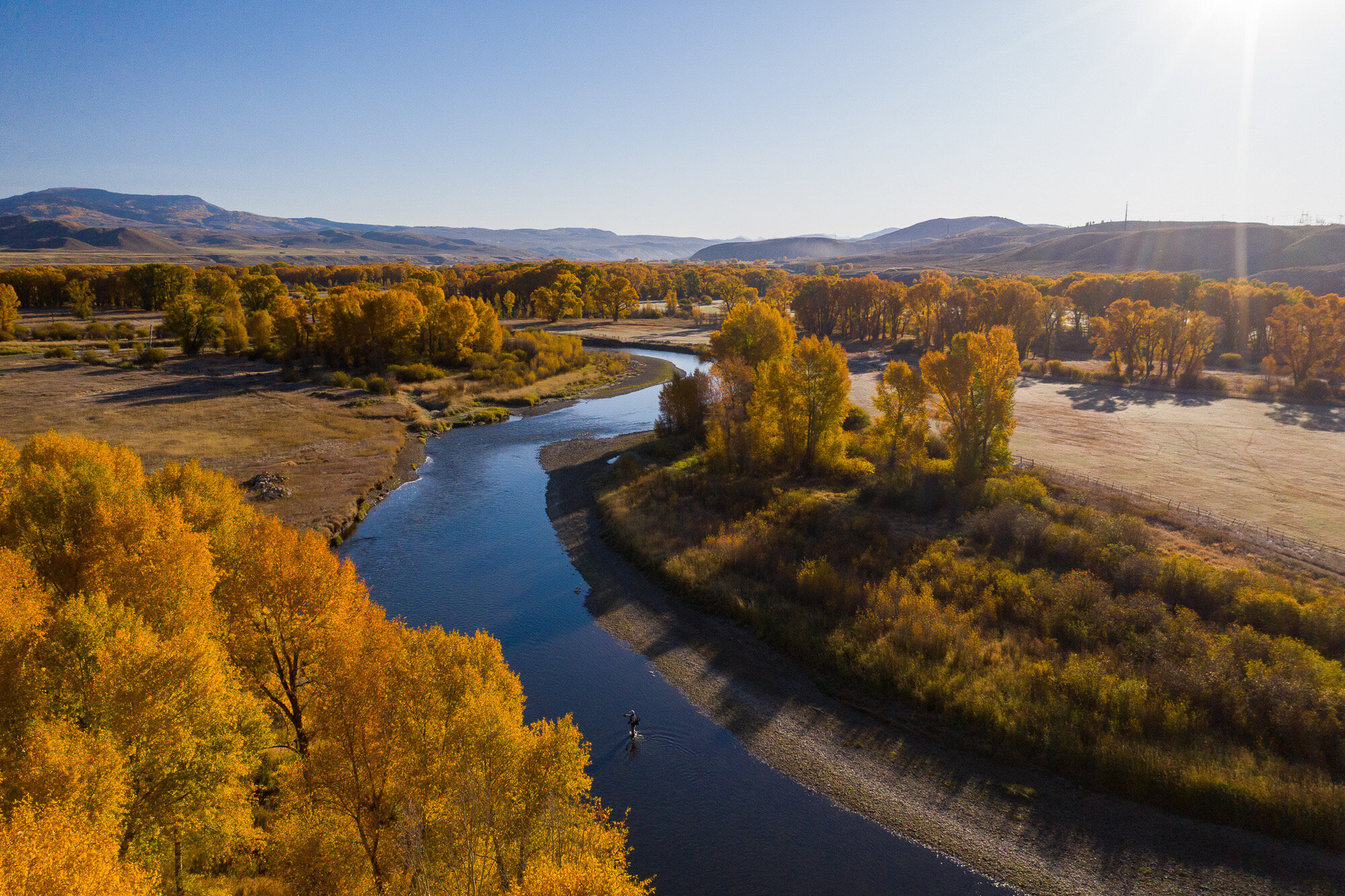 A lone fisher casts a fly into the river, sunlight dappling through the golden leaves of towering cottonwoods.